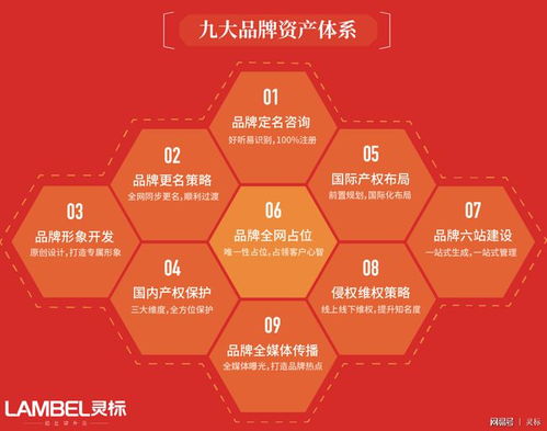 青青國際攜手國際品牌管理機(jī)構(gòu)，為參展企業(yè)注入全球品牌新動(dòng)力